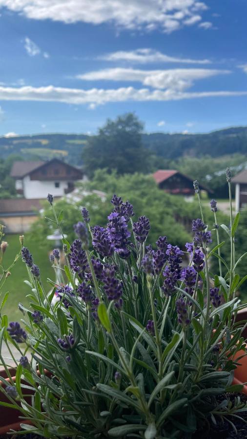 Ferienwohnung Alpseeliebe Immenstadt im Allgau Bagian luar foto